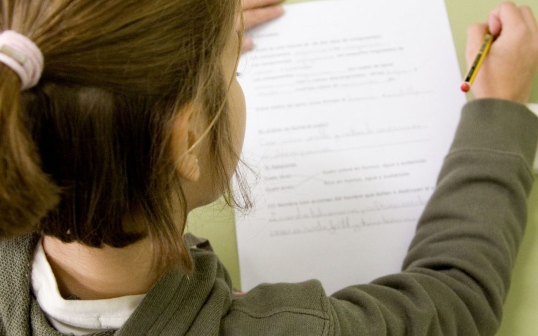 L’école primaire va-t-elle créer la génération des génies sous-estimés ?