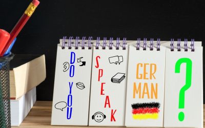 La Face Cachée des Régions Où l’on Parle le Plus Mal Français